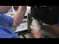 Family traditions at Mill City Dairy Bar On The Pennsylvania Road