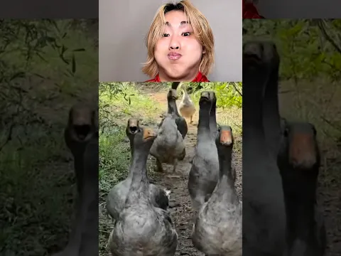 Jun Jun World funny video😂😂😂best TikTok2025#shorts#funny