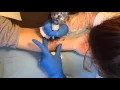 Timelapse Tattoo - Calla