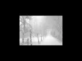 stars will fall - duster (slowed ; reverb)