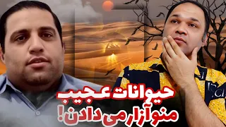 حضرت رقیه منو نجات داد تجربه نزدیک به مرگ زندگی پس از زندگی 