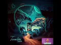 DAVIDO - Over Dem (Instrumental)