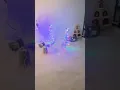 My new Mr Christmas Lights and Sounds Of Christmas Outdoor Original 2020 Version garage test