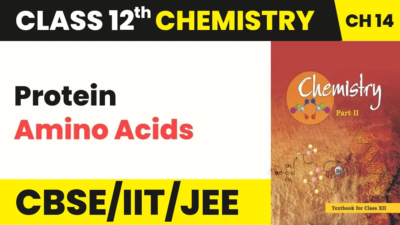 Class 12 Chemistry Chapter 14 | Protein (Amino Acids) - Biomolecules (2022-23)