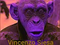 Harry Nilsson - Coconut ( 1971 ) 24 bit Audio FLAC Video By Vincenzo Siesa