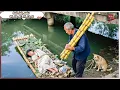 Download Lagu Đứa Bé Bị Xem Là Sao Chổi Vứt Bỏ Ngoài Bãi Tha Ma Được Ông Lão Nhặt Về 15 Năm Sau Thành CEO Báo Hiếu