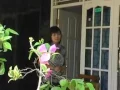 Lagu lampung \
