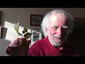 Tom Sexton s Celebration of Life
