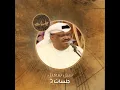 Saadny