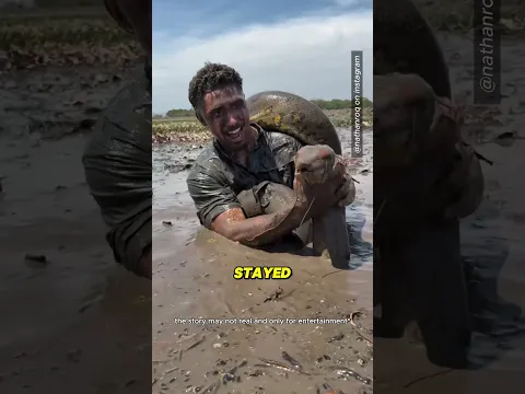 The Man Who Finally Found a Giant Snake 😮 #shorts