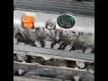 code P0302 2009 Honda Accord 2 4L