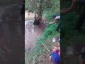 Download Lagu Mancing lele baboon ehh malahh..