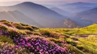 جديد أغنية يا وليدي بصوت جميل 