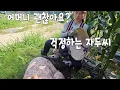 Download Lagu 한국 시어머니는 베트남며느리  밭일 도와주러 갔다가 폭염으로 쓰러집니다