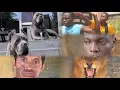 Download Lagu Top trending videos, (funny 😂, tricks😭, thieves 😭 😂,stupid things, lion💀)............
