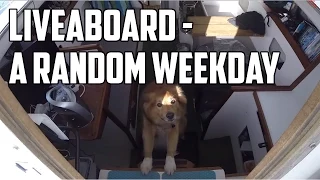 Sail Life – Living aboard a sailboat (a random weekday)