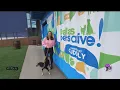 How to adopt at Dallas Pet Fostering
