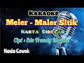 Download Lagu MALER-MALER SITIK | NARTA SIREGAR | NIEUWSTE KARAOKE 2023 | JONGEN NADA