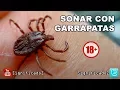 Significado de SONAR CON GARRAPATAS Que Significa
