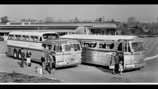 A história da Greyhound Parte 2