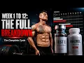 How a 12-Week Test E and Anadrol Cycle Actually Works Full Guide