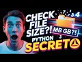 How to find ANY File Size with Python in Seconds