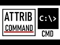 How to use the ATTRIB COMMAND in Command Prompt