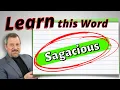 What is SAGACIOUS