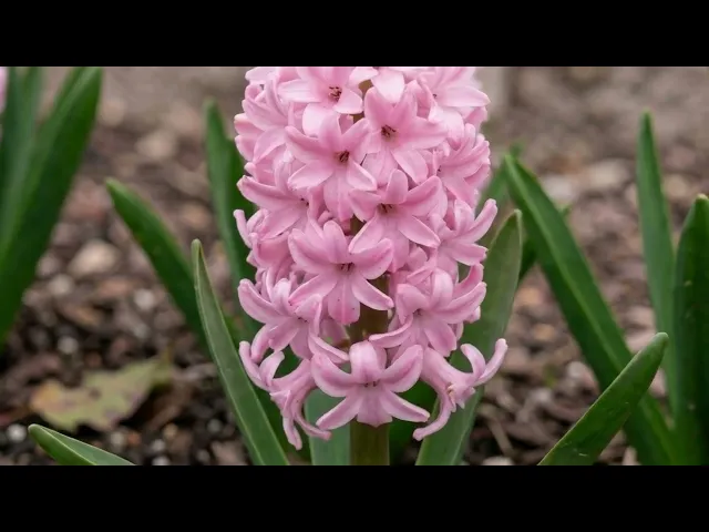 files/preview_images/hqdefault_d7744831-0cfc-4e69-b097-fb2c9aa081b2.jpg