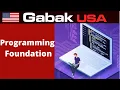 1-What is programming - bugs