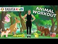 Download Lagu Latihan Tabata untuk ANAK-ANAK | Latihan Hewan (usia 3-8) dengan @TabataKidsWorkouts