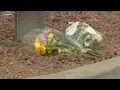 El Paso funeral home offers free services to families who lost loved ones in mass shooting