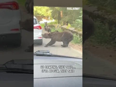 Just trying to enjoy the great outdoors #bearattack #bears #wildlife #expensivefails #shorts