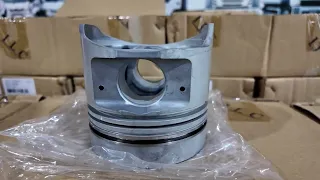                     دندنها