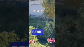 Непочистеното корито на река Струма в Перник 