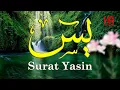 Download Lagu Surat Yasin - Bacaan, Teks Arab, Latin dan Terjemah - H Muammar ZA