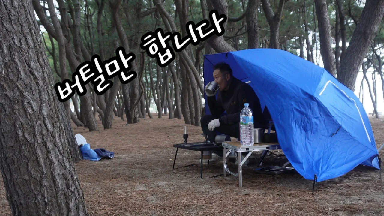 중년캠퍼의 해변솔밭 텐트없이 파라솔캠핑/ サムネイル
