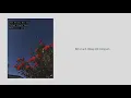 Anh Không Nhớ Em  -  Trịnh Thanh Vân 「Lyrics」