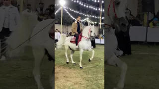 رقص خيل دبابه العمده ومصطفي كرم سرحان الهرم2025 