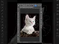 The Best Way to Select Hair and Remove Backgrounds in Photoshop