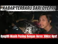 Lagu OYEP99 KABAR TERBARU DARI HEREX 300cc  HPS RED GANK