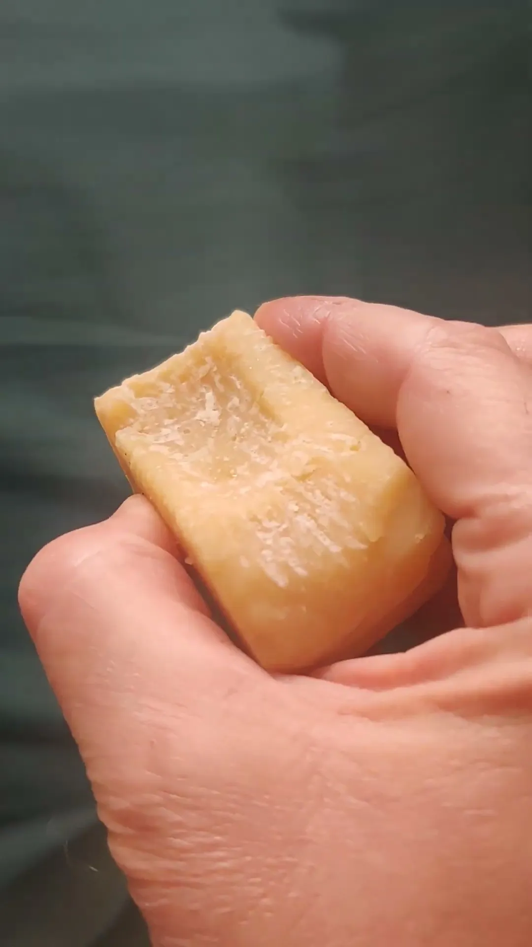Hide the Cheese!
