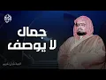 Download Lagu جمال لا يوصف وتلاوة بصوت خاشع تخفف ثقل الحياة | الشيخ علي جابر رحمه الله