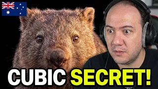 Nothing About The Australian Wombat Is Normal... And Here Is Why | TEACHER PAUL REACTS AUSTRALIA ๐ฆ๐บ