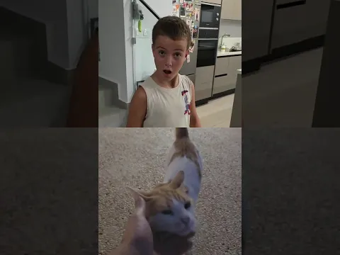 Is this for real?! 😱🐈 #shorts Funny Video By TikToMania