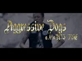 Lagu Aggressive Dogs a.k.a UZI-ONE 35th Anniversary!!