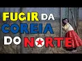 Download Lagu 8 Maneiras de Fugir da Coreia do Norte 🏃🇰🇵