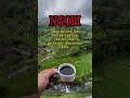 Download Lagu Ayo Ngopi