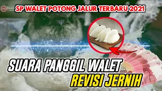 Download SUARA PANGGIL WALET TERBAIK JERNIH REVISI 2021 MP3