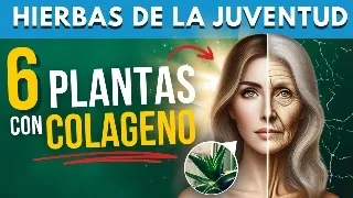 ✅ 6 PLANTAS de la Juventud que te dan COLÁGENO y FAVORECEN tu PIEL